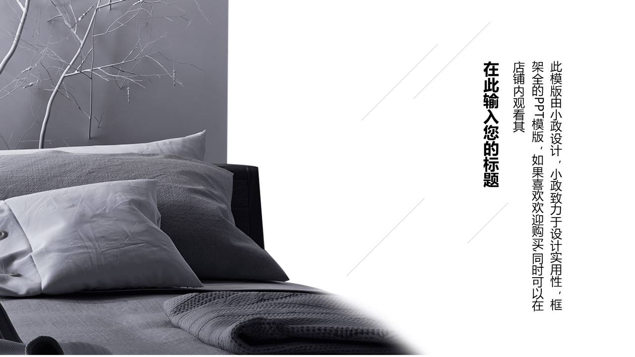 室内设计 (10).pptx